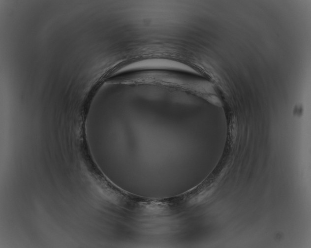 X0000091640359200708231204