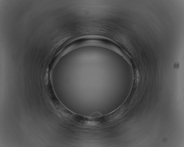 X0000091640360200708231204