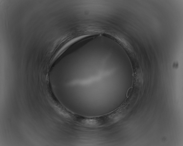 X0000091640361200708231204