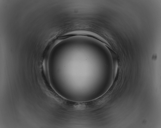 X0000091640362200708231204
