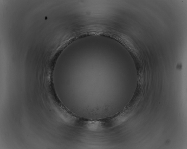 X0000091640363200708231204