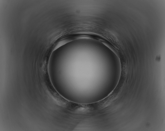 X0000091640364200708231204