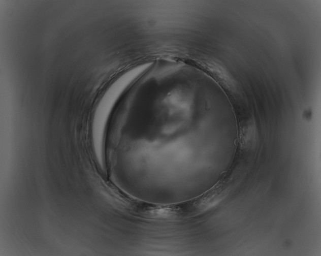 X0000091640365200708231204