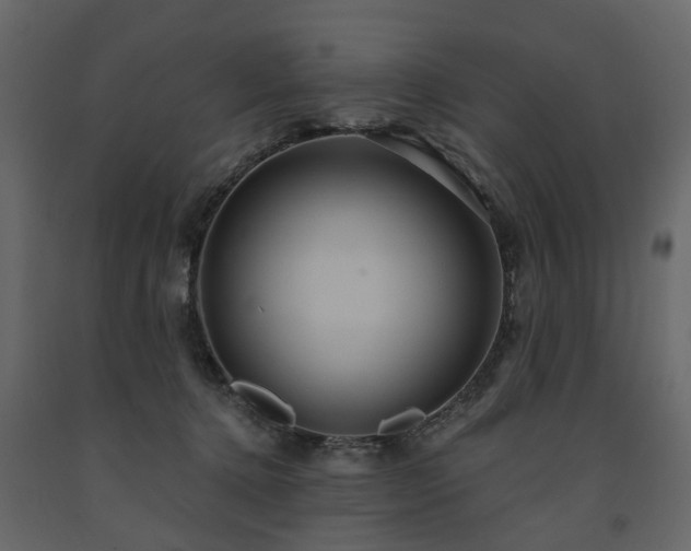 X0000091640368200708231204