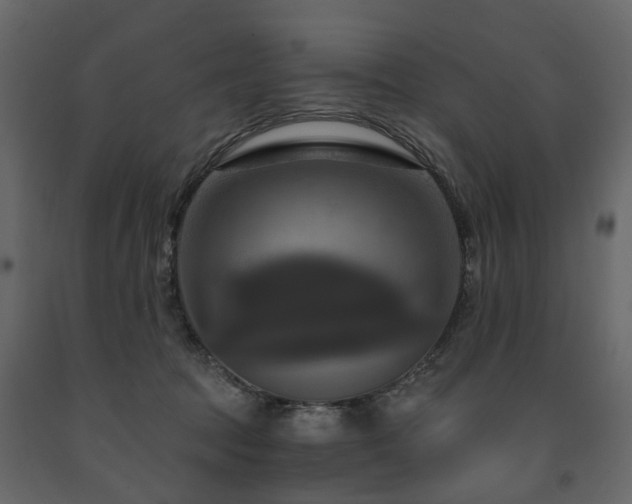 X0000091640369200708231204