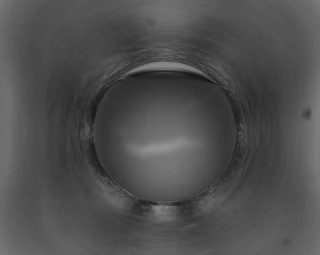 X0000091640371200708231204