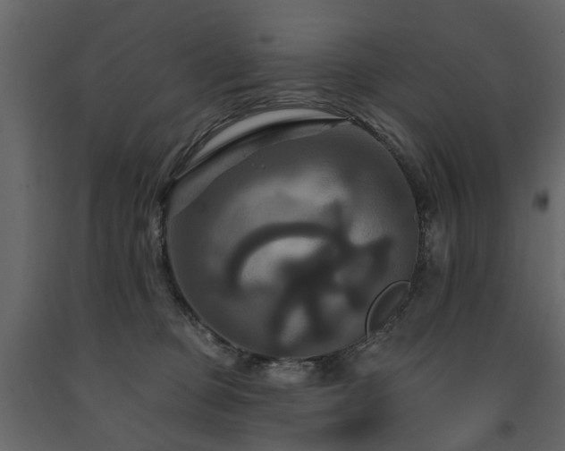 X0000091640373200708231204