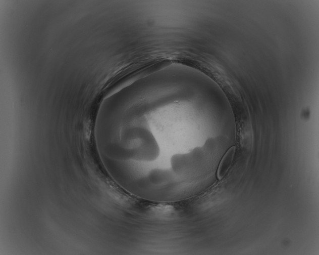 X0000091640374200708231204