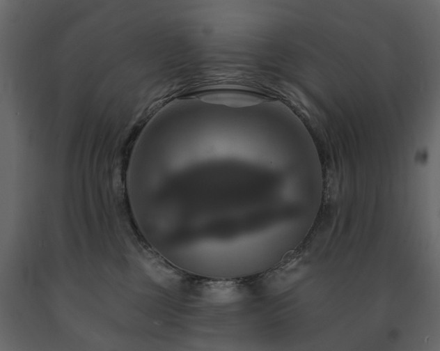 X0000091640377200708231204