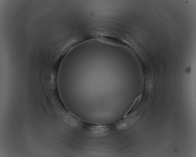 X0000091640378200708231204