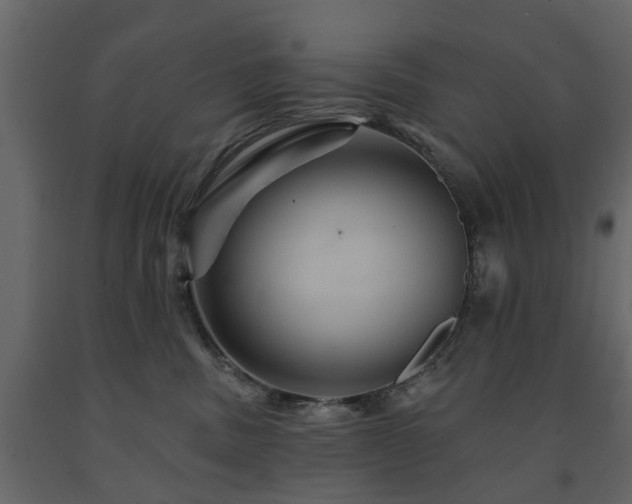X0000091640379200708231204