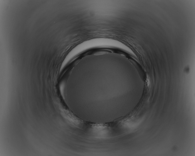 X0000091640380200708231204