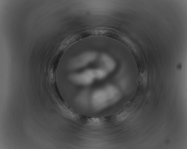 X0000091640381200708231204