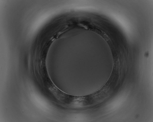 X0000091640382200708231204
