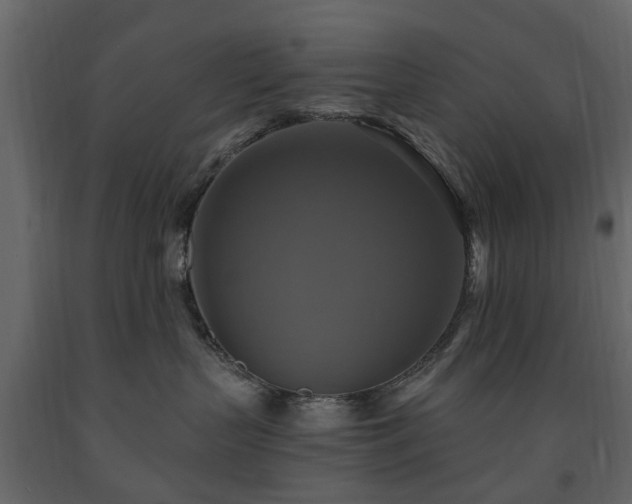 X0000091640383200708231204