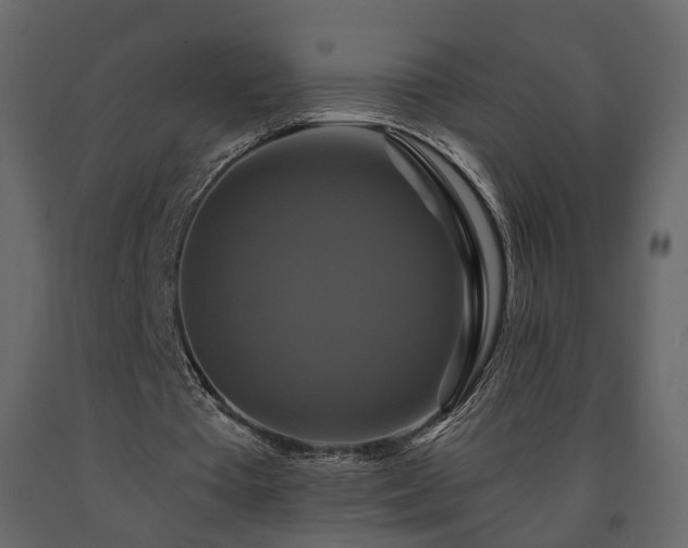 X0000091640385200708231203