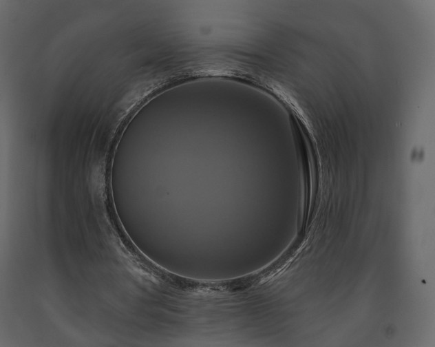 X0000091640386200708231203