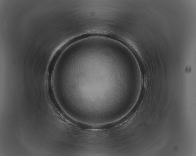 X0000091640388200708231203