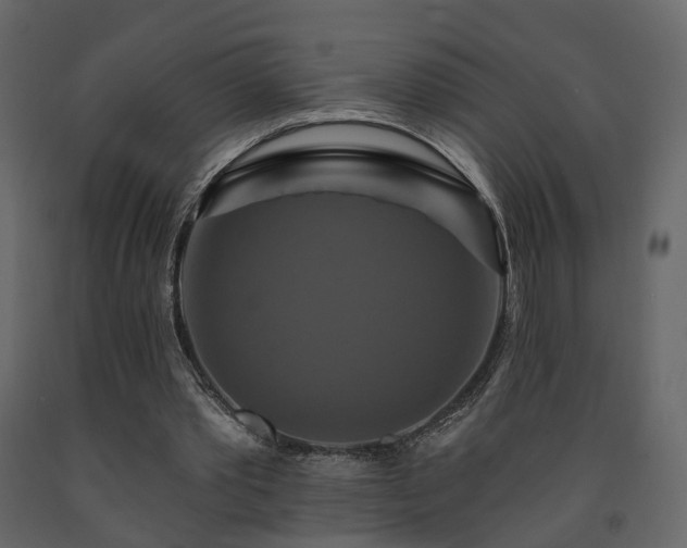 X0000091640389200708231203