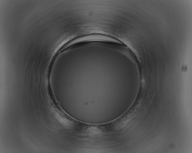 X0000091640390200708231203