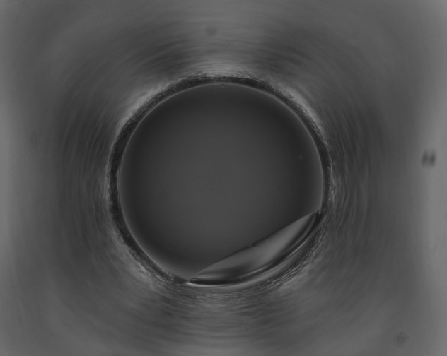 X0000091640391200708231203