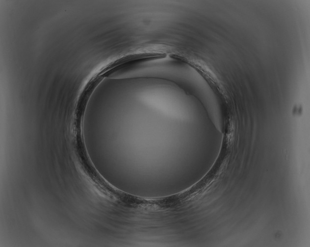 X0000091640392200708231203