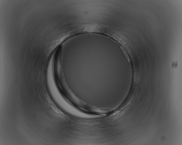 X0000091640393200708231203