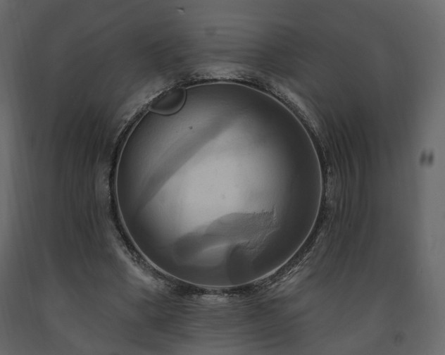 X0000091640394200708231203