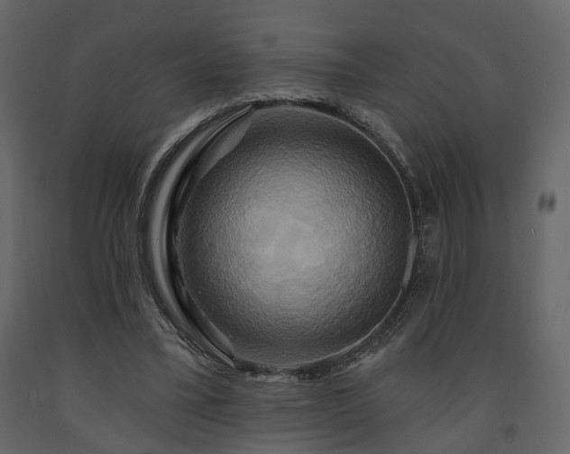 X0000091640395200708231203
