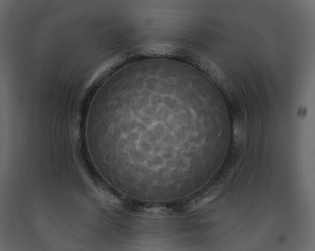 X0000091640396200708231203