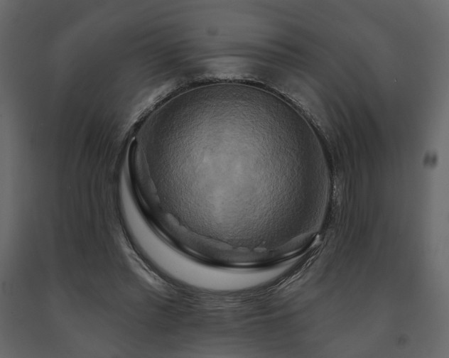 X0000091640397200708231203