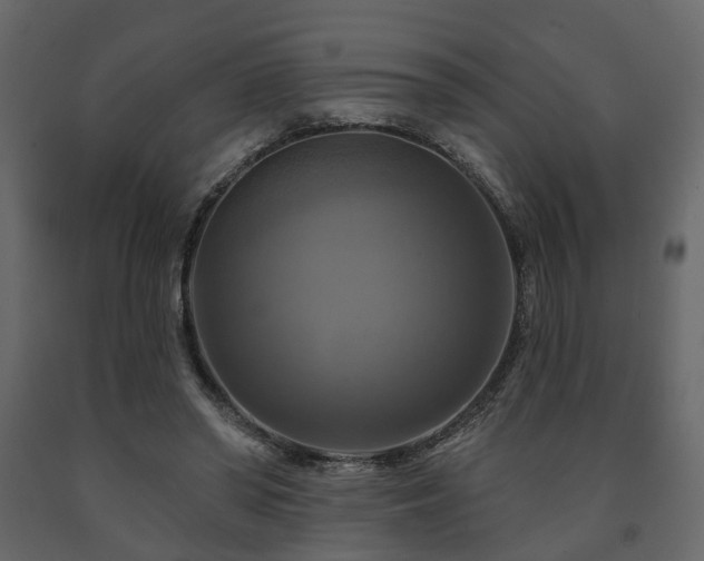 X0000091640398200708231203