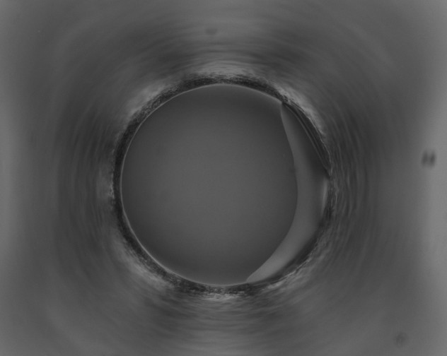 X0000091640399200708231203