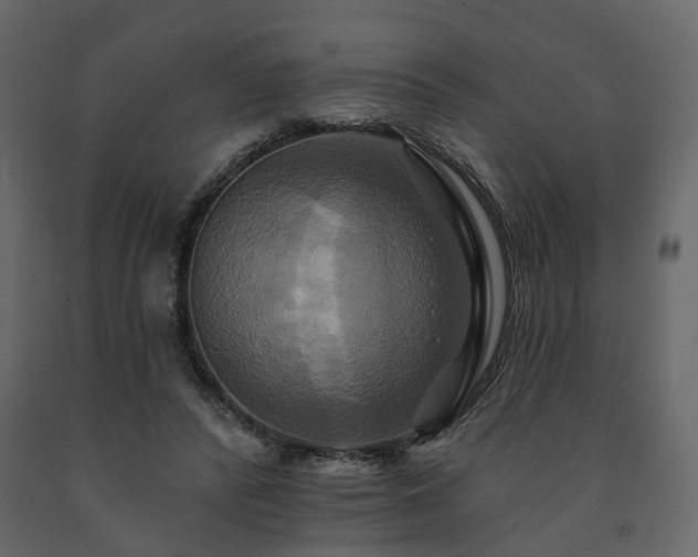 X0000091640400200708231203