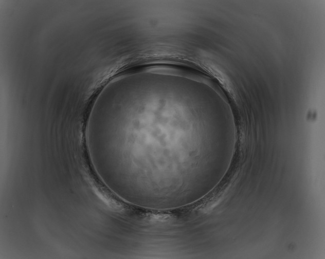 X0000091640401200708231203