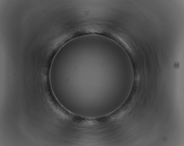 X0000091640402200708231203