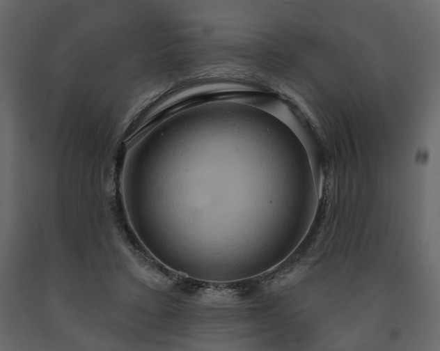 X0000091640403200708231203