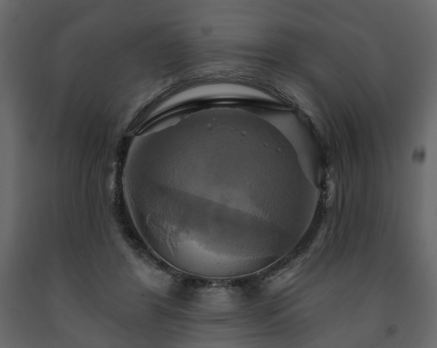 X0000091640404200708231203