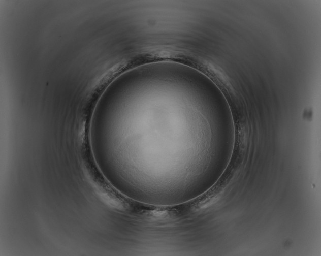 X0000091640406200708231203