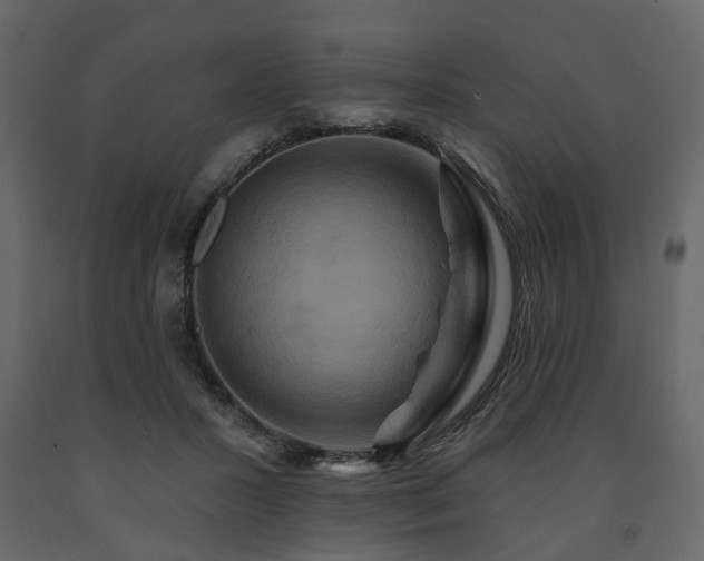 X0000091640407200708231203