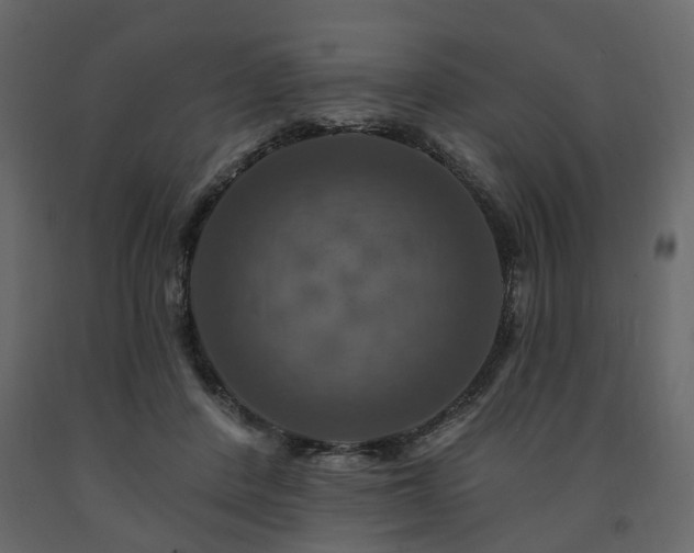 X0000091640408200708231203