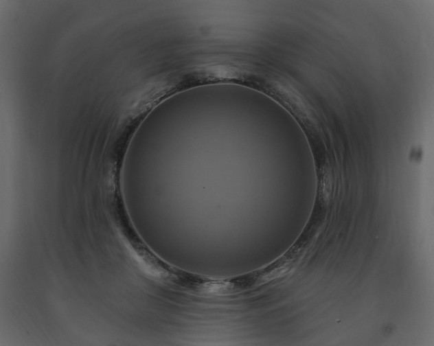 X0000091640410200708231203