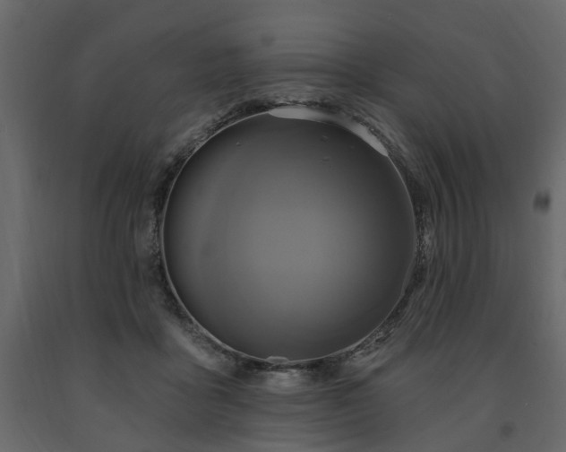 X0000091640411200708231203