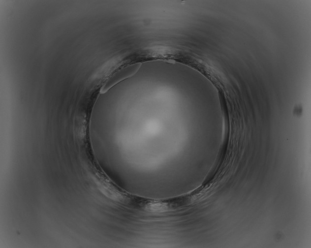 X0000091640413200708231203
