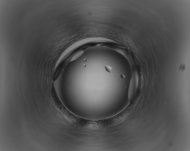 X0000091640416200708231203