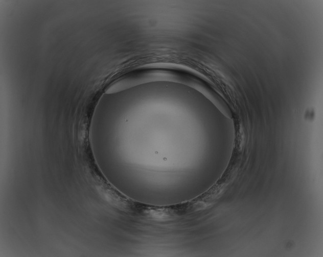X0000091640417200708231203