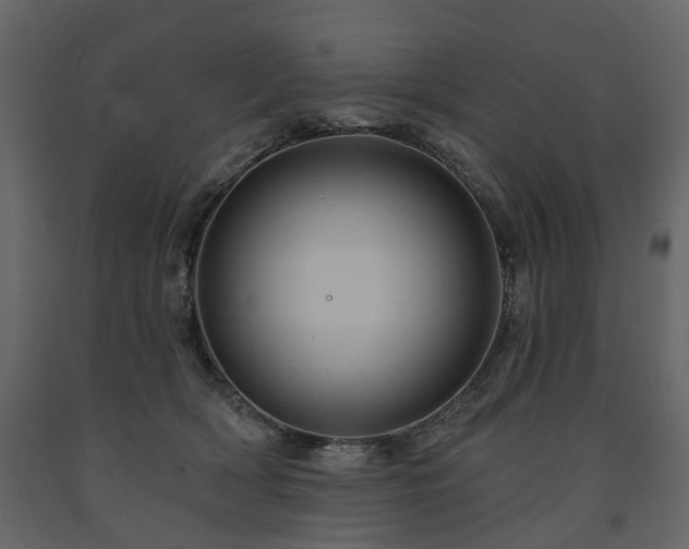 X0000091640418200708231203