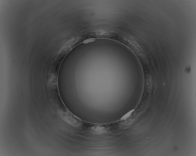 X0000091640419200708231203