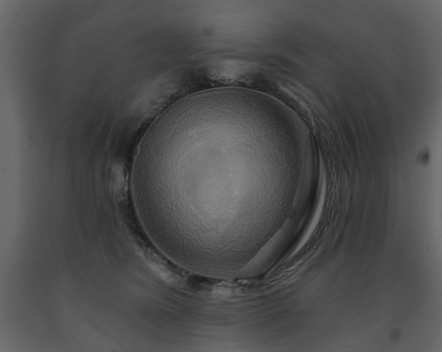 X0000091640420200708231203