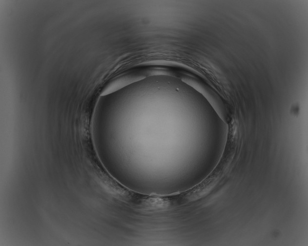 X0000091640421200708231203